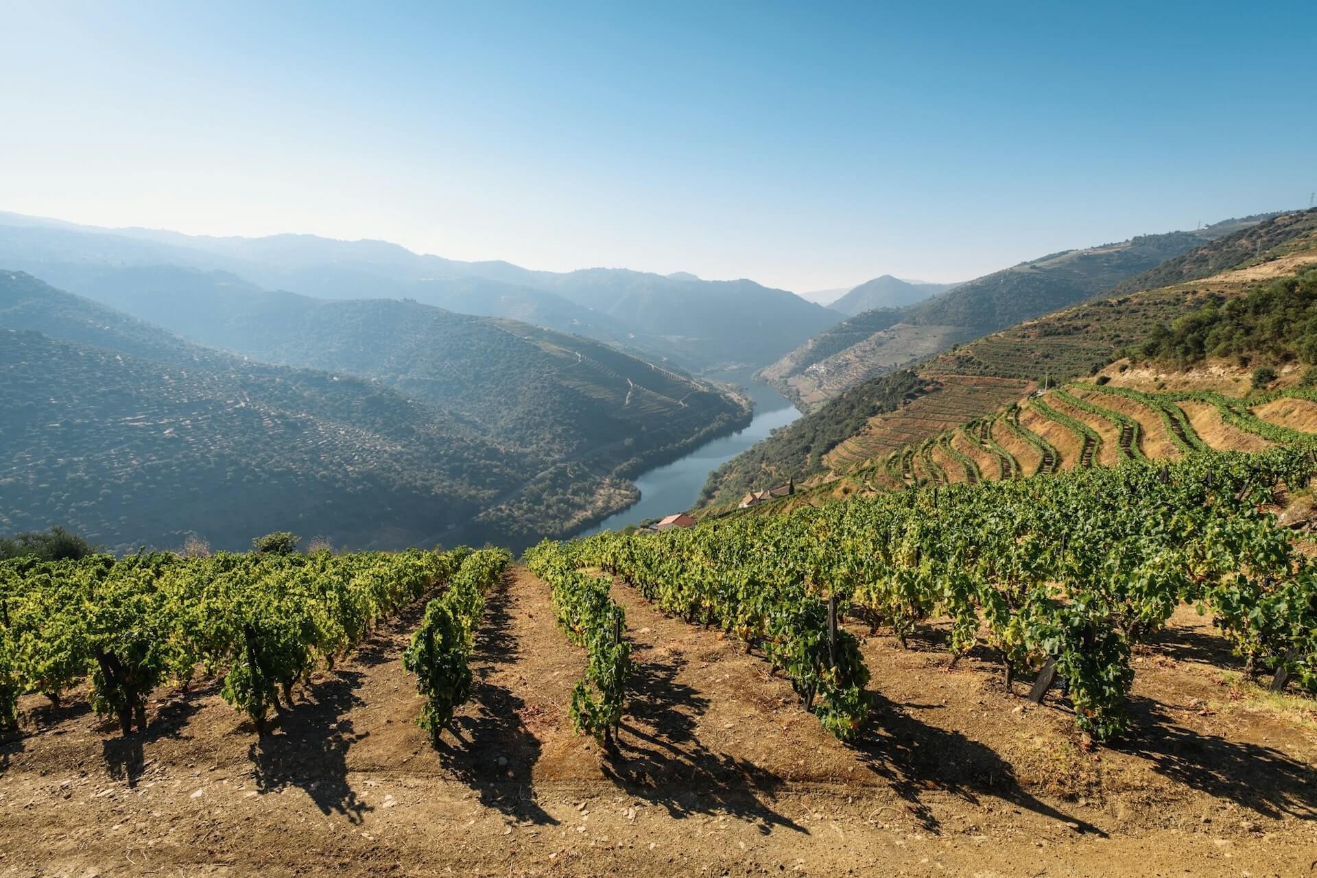 La vallée du Douro au Portugal