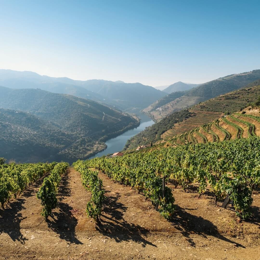 La vallée du Douro au Portugal